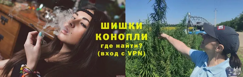 МАРИХУАНА Amnesia  Мурино 